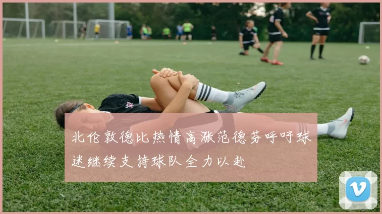 北伦敦德比热情高涨范德芬呼吁球迷继续支持球队全力以赴