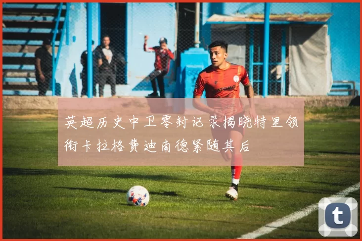 英超历史中卫零封记录揭晓特里领衔卡拉格费迪南德紧随其后