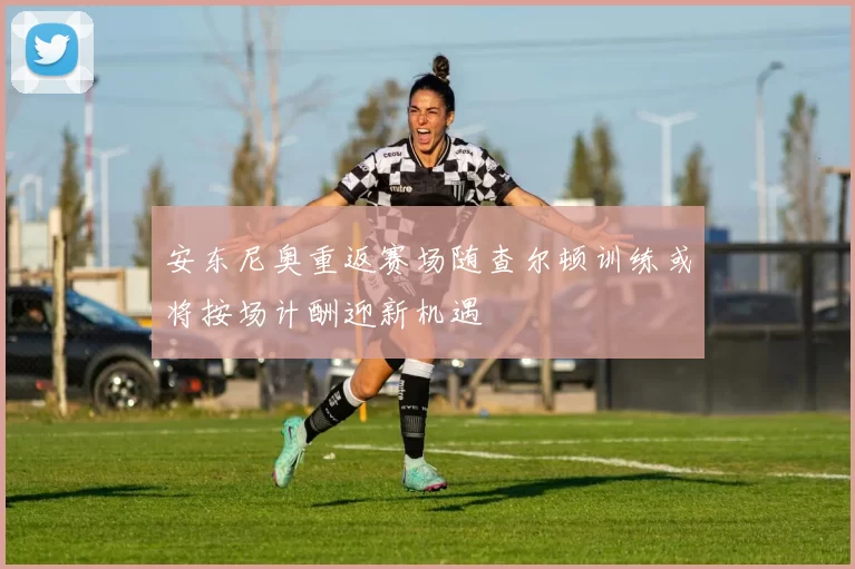 安东尼奥重返赛场随查尔顿训练或将按场计酬迎新机遇