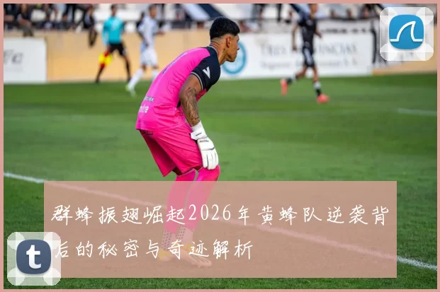 群蜂振翅崛起2026年黄蜂队逆袭背后的秘密与奇迹解析