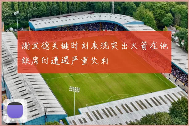 谢泼德关键时刻表现突出火箭在他缺席时遭遇严重失利